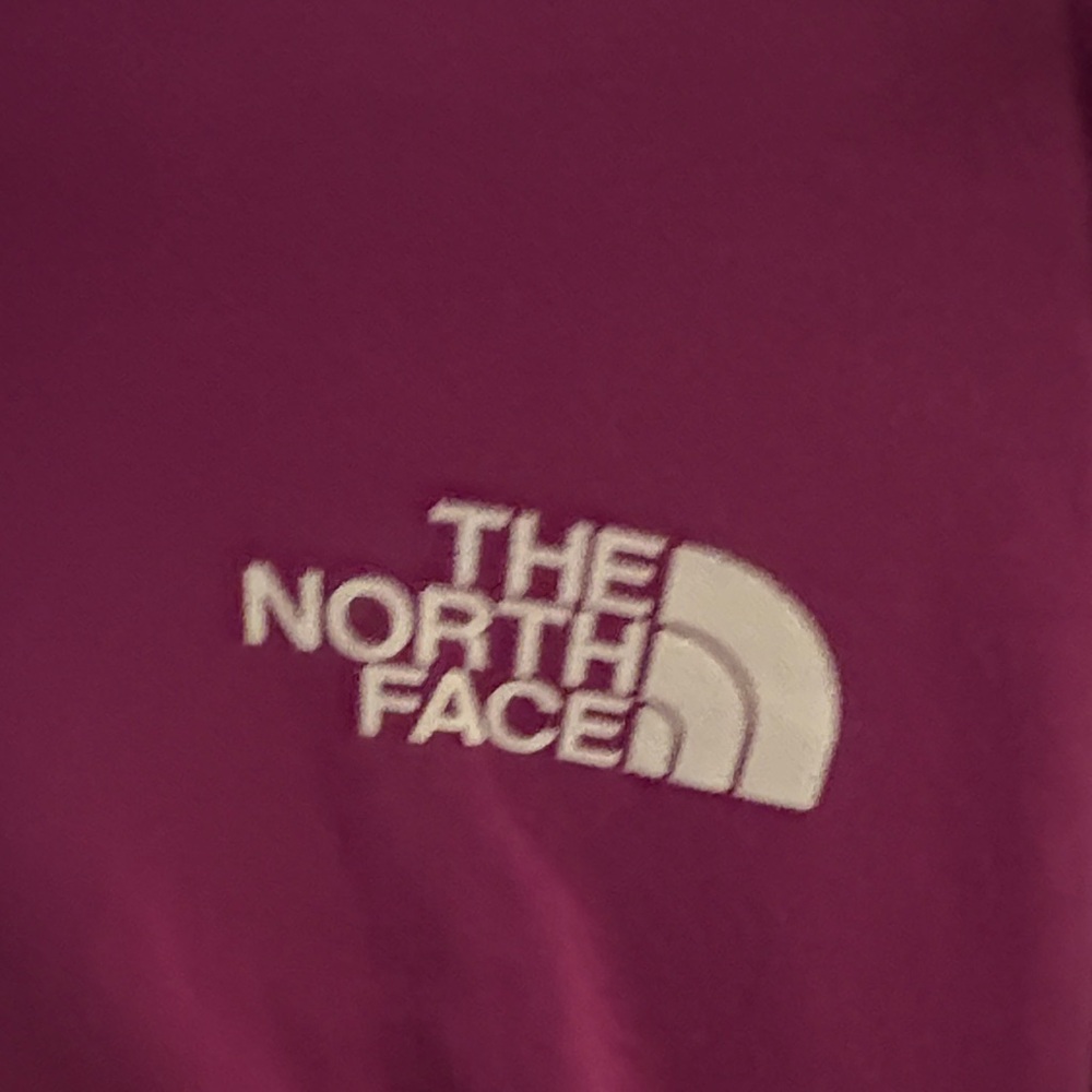 The North Face Magenta Hoodie - Picture 2 of 5